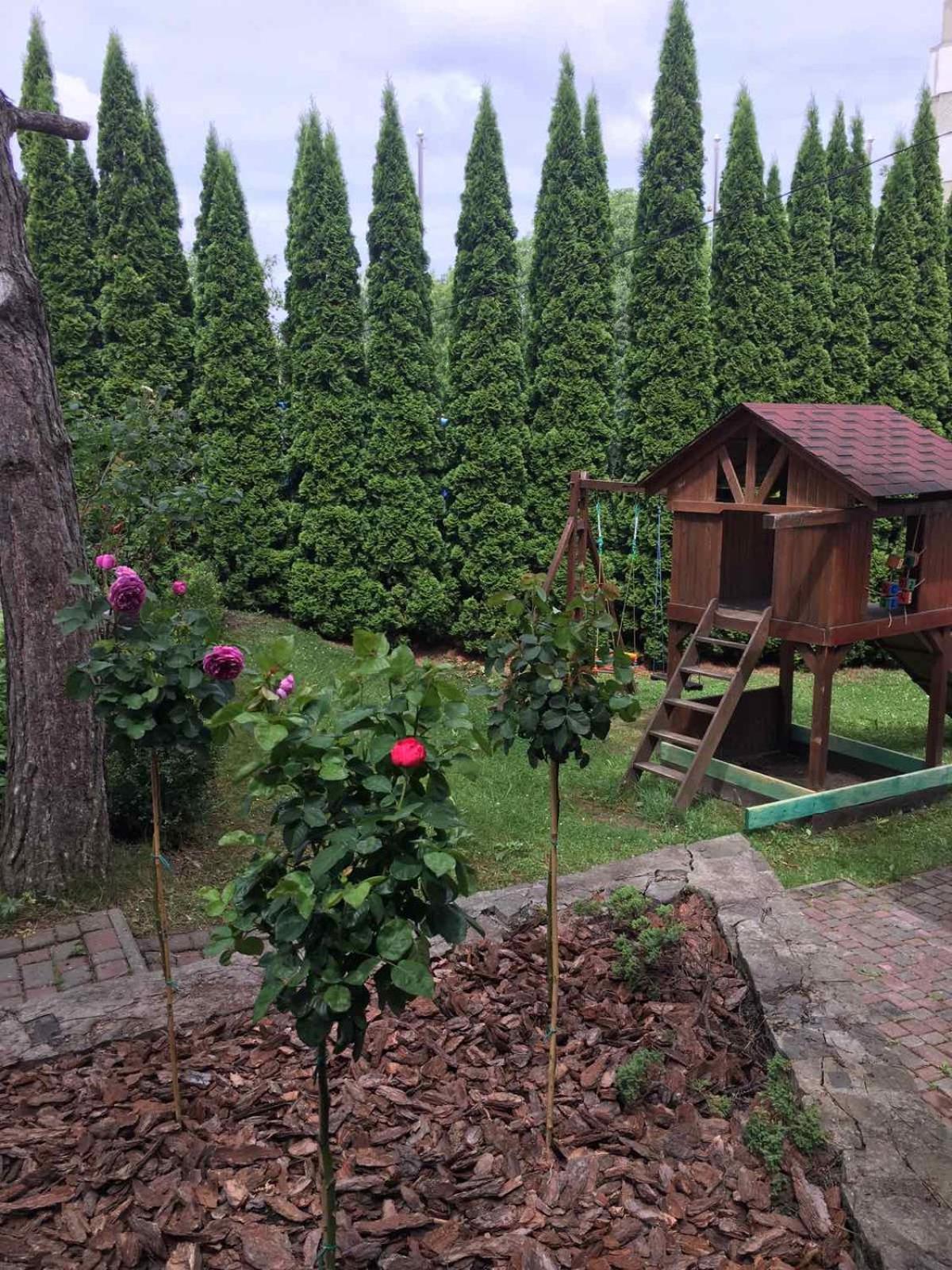 Red Stone Hotel Truszkavec Kültér fotó